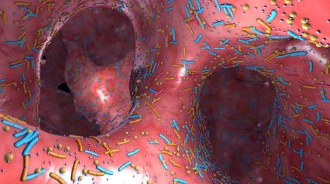 Different germs in the human intestines called microbiota - 3d illustration Stockillustratie