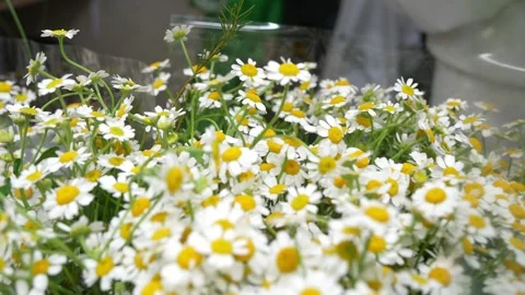 Different gift bouquets of flowers. Flower shop. Stock Footage 303220157