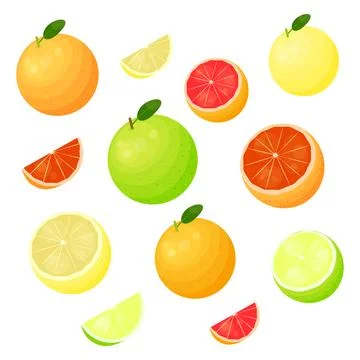 Different grapefruit varieties set. イラスト素材