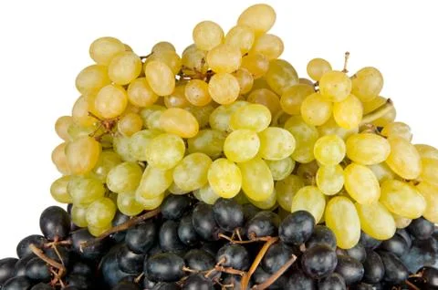 Different grapes isolated Stock Photos