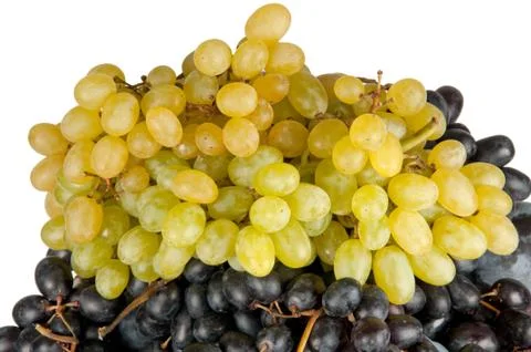 Different grapes isolated Stock Photos