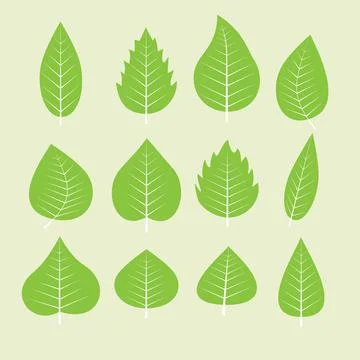 Different green spring leaves set vector illustration Illustrazione stock