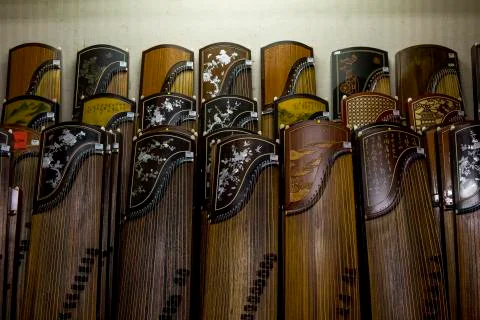 Different Guzhengs Stock-Fotos