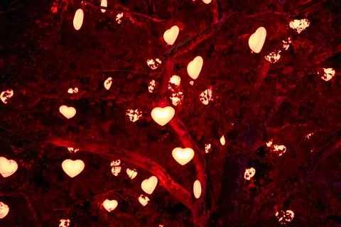 Different heart shapes are in a tree Love is in the air Stock Photos