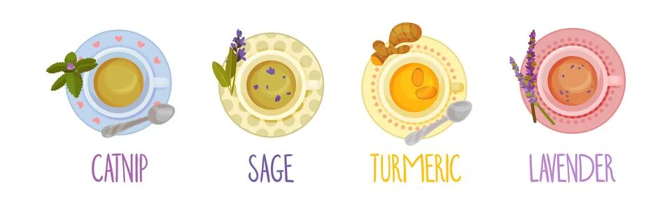 Different Herbal Tea Brewing in Cup Above View Vector Set Stock Illustration