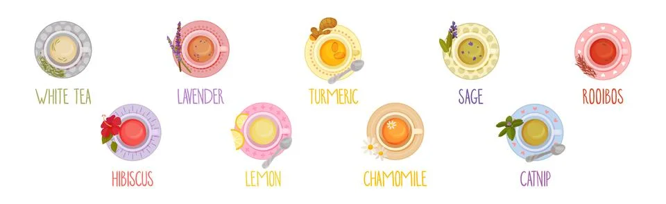 Different Herbal Tea Brewing in Cup Above View Vector Set Stock Illustration