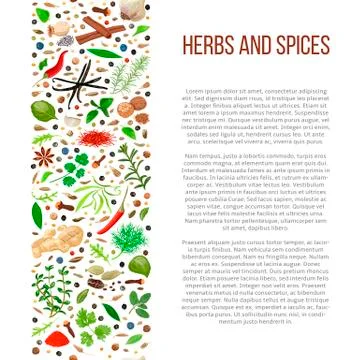 Different herbs and spices with description text Stock Illustration