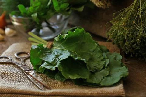 Different herbs, rusty scissors and burlap fabric on wooden table Stock Photos