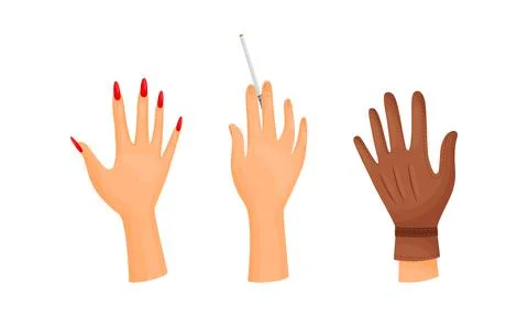 Different Human Right and Left Hands with Palm Raised Up Vector Set イラスト素材