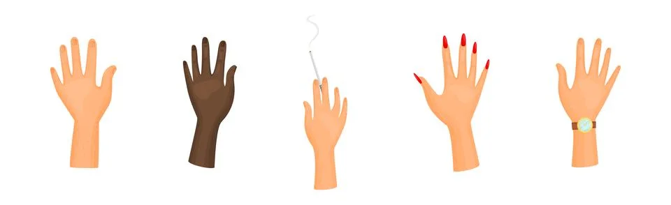 Different Human Right and Left Hands with Palm Raised Up Vector Set イラスト素材