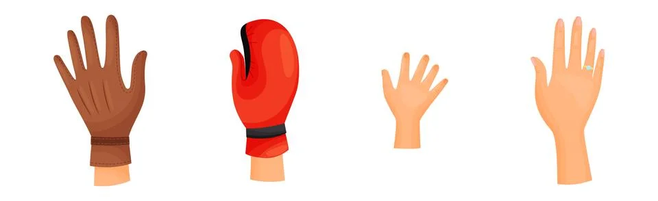 Different Human Right and Left Hands with Palm Raised Up Vector Set 스톡 일러스트