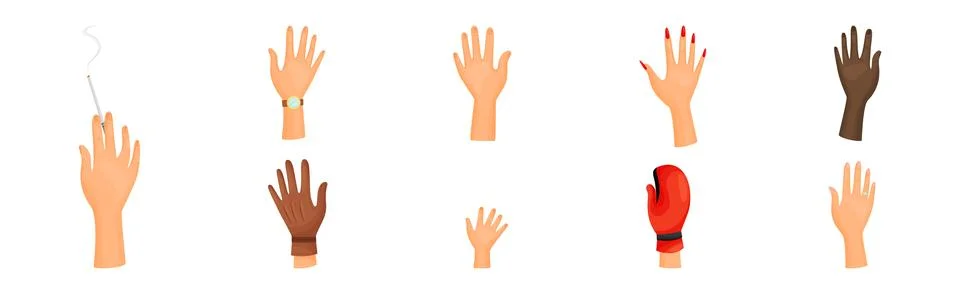 Different Human Right and Left Hands with Palm Raised Up Vector Set 스톡 일러스트