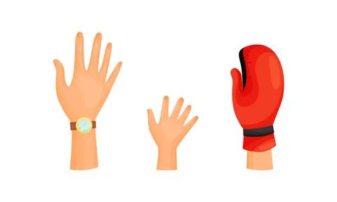 Different Human Right Hands with Palm Raised Up Vector Set 스톡 일러스트
