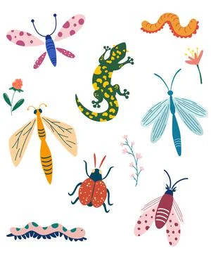 Different insects collection. Hand draw Butterfly, bug, dragonfly, caterpilla Stock Illustration