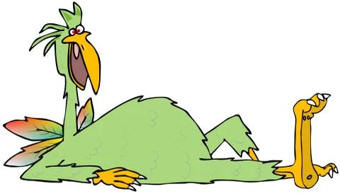 Different kind of bird Stock Illustration