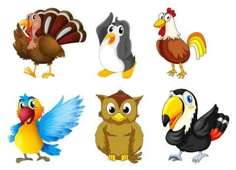 Different kind of birds イラスト素材