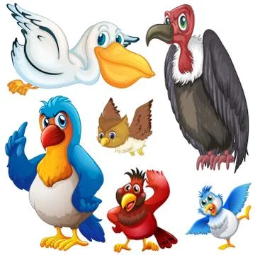 Different kind of birds Stock Illustration