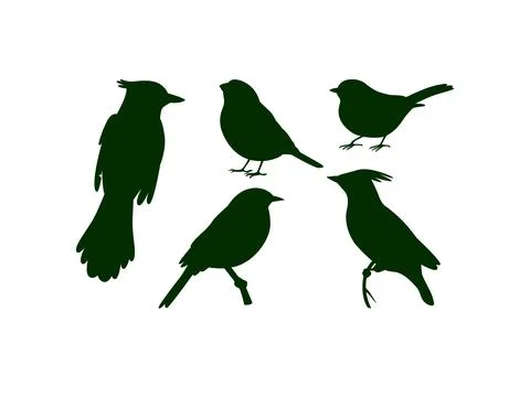 Different kind of birds silhouette vector Illustrazione stock