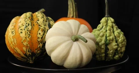 Different kind of colorful pumpkins rotating 5 Stock Footage 139017237