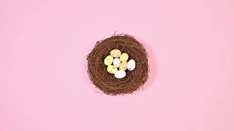 Different kind of eggs appear and disappear and change in nest Stop motion. Stock-Footage 233230076