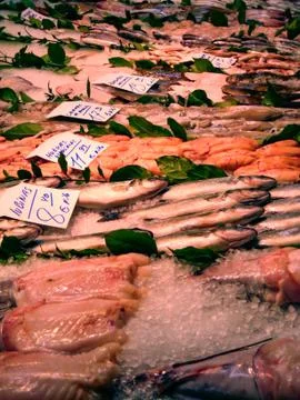 Different kind of fish with prices at a fish market. 写真素材