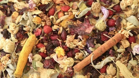 Different kind of healing herbs Stock Footage 70395423