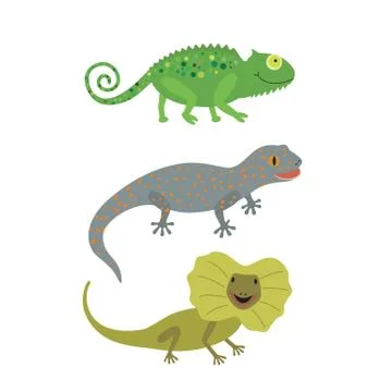 Different kind of lizards icons set. Stock Illustration