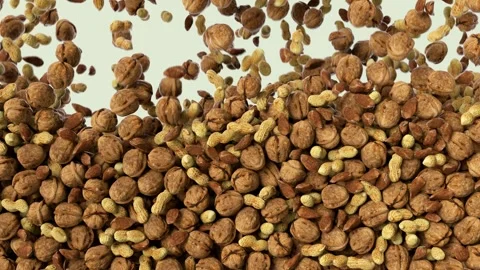 Different kind of nuts falling down. Mix of nuts, penauts, drooping. 動画素材 267843384