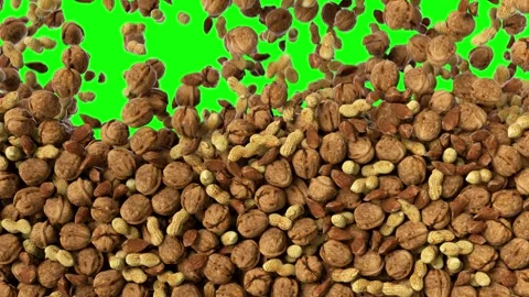 Different kind of nuts falling down green screen animation. Vídeo Stock 278650661