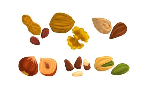Different Kind of Nuts Set, Peanut, Walnut, Almond, Hazelnut, Pistachio Cartoon Illustrazione stock
