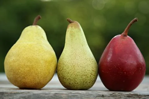 Different kind of pears Stock Photos