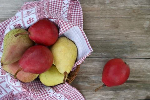 Different kind of pears Stock Photos