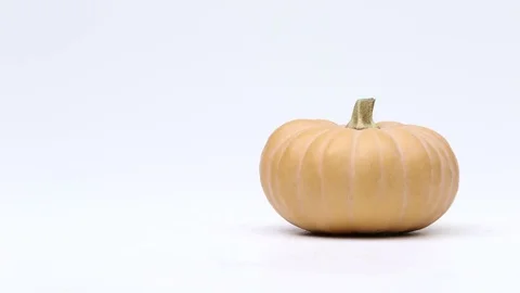 Different kind of pumpkins changing in rotation. stop motion animation loop. Stock Footage 81202992