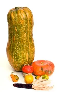 Different kind of pumpkins isolated on white background Foto stock