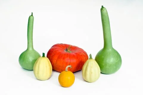 Different kind of pumpkins isolated on white background Stock Photos