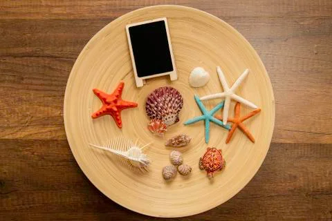 Different kind of sea shells with blank black board and turtle in wooden bowl Stock-Fotos