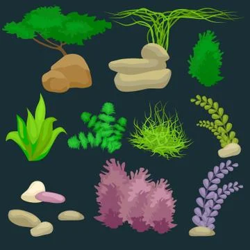Different kinds of algae and pebbles set isolated on dark. Stock Illustration