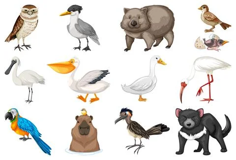 Different kinds of animals collection Stock Illustration