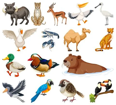 Different kinds of animals collection Illustrazione stock