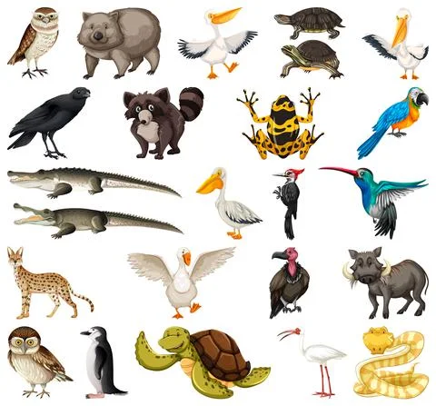 Different kinds of animals collection Illustrazione stock
