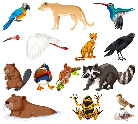 Different kinds of animals collection Stock Illustration