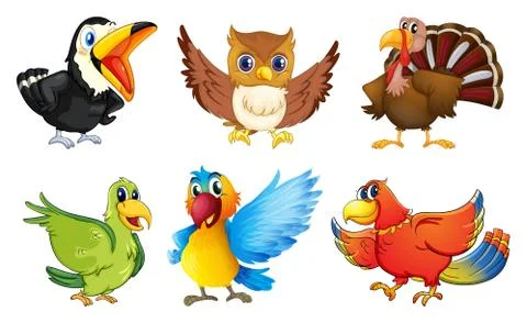Different kinds of birds Illustrazione stock