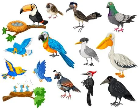 Different kinds of birds set Stock Illustration
