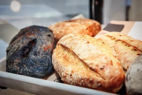 Different kinds of bread and bread rolls Stock Photos