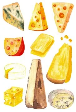 Different kinds of cheese, hand drawn watercolor isolated on white background 스톡 일러스트