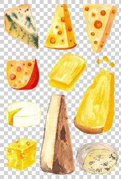 Different kinds of cheese, hand drawn watercolor isolated on white background 스톡 일러스트