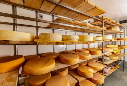 Different kinds of cheese Stock Photos