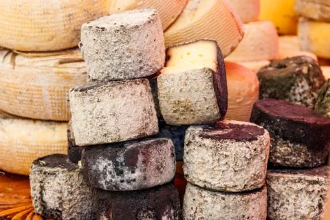Different kinds of cheese on a table Stock Photos