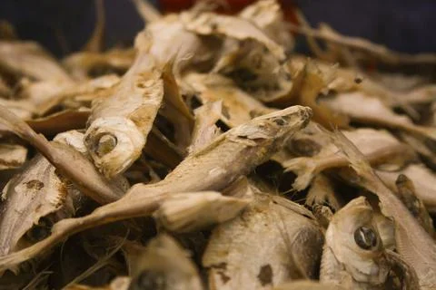 Different kinds of dried fish from all dry fish processing area of coastal We Stock Photos