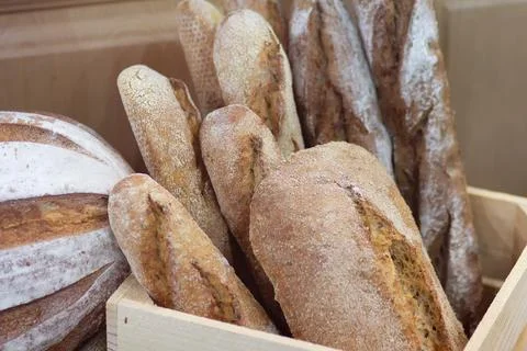 Different kinds of fresh bread on the bakery counter Stock Photos